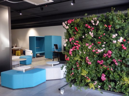 7 - GroWert OÜ growing vertically, flower walls