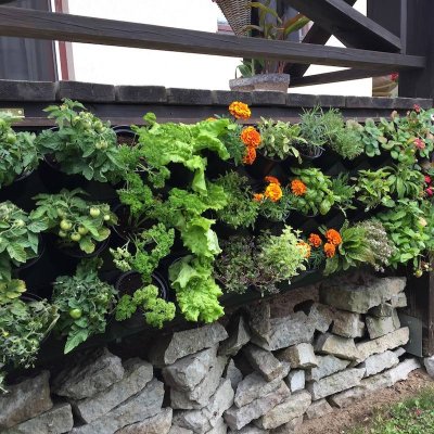 14 - GroWert OÜ growing vertically, flower walls