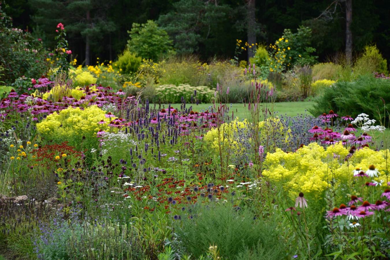 Aiakujundaja Evely Ustav | USTAV DISAIN 