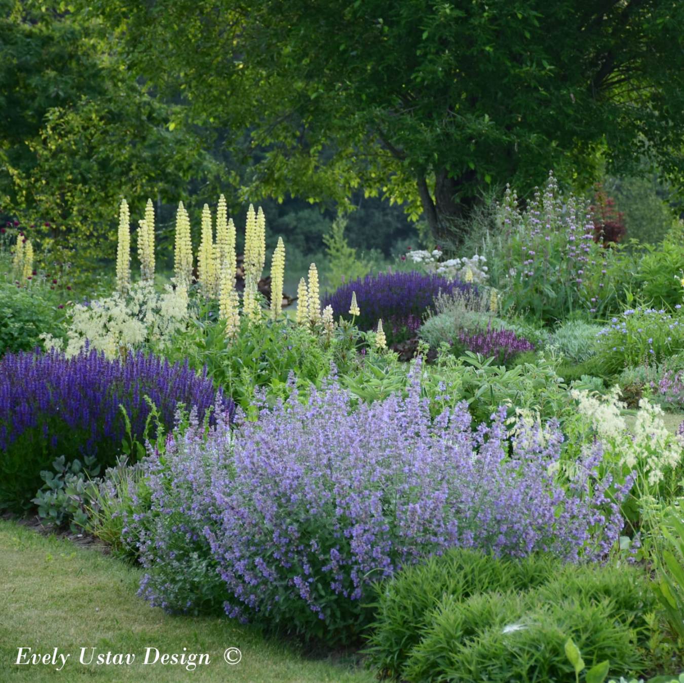 Aiakujundaja Evely Ustav | USTAV DISAIN 