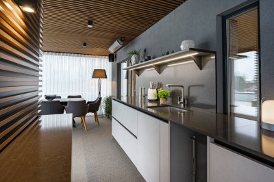 20 - 4-toaline penthouse