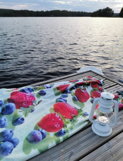 Liivi Leppik & Visioontekstiil - maasika kangas