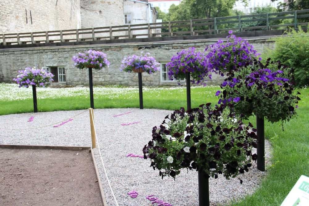 Inspiratsiooni aiakujunduseks „Aed kui kunstiteos“ või „Tervendav aed“ Inspiratsiooni aiakujunduseks „Aed kui kunstiteos“ või „Tervendav aed“