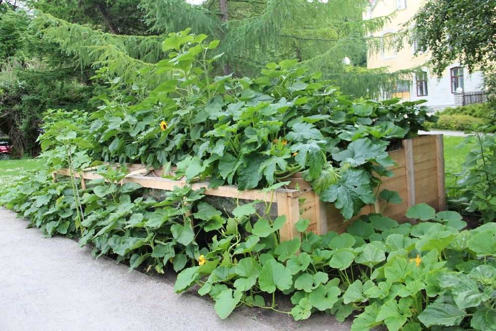 Inspiratsiooni aiakujunduseks „Aed kui kunstiteos“ või „Tervendav aed“ Inspiratsiooni aiakujunduseks „Aed kui kunstiteos“ või „Tervendav aed“