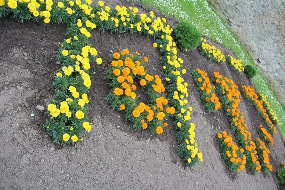 Inspiratsiooni aiakujunduseks „Aed kui kunstiteos“ või „Tervendav aed“ Inspiratsiooni aiakujunduseks „Aed kui kunstiteos“ või „Tervendav aed“
