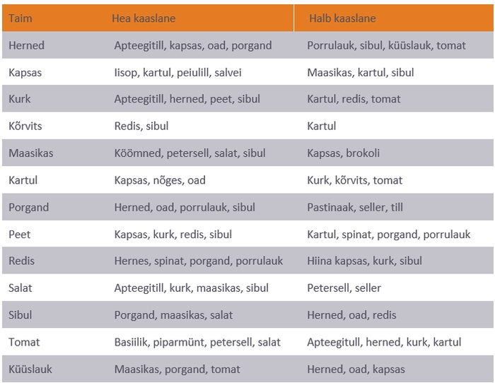 Vaata tabelist, millised taimed sobivad kokku ja millised mitte!