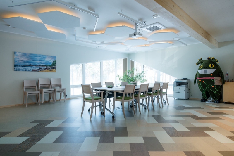 IBE Estonia kontor - Linoleum, Marbled Real, Marmoleum Modular, Floorin