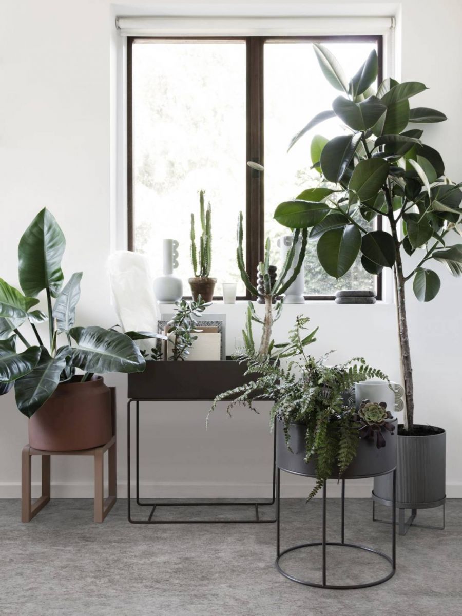 Too toataimedega loodust tuppa koos Plant Box taimekastide ja Bau lillepottidega. Tootja: ferm LIVING